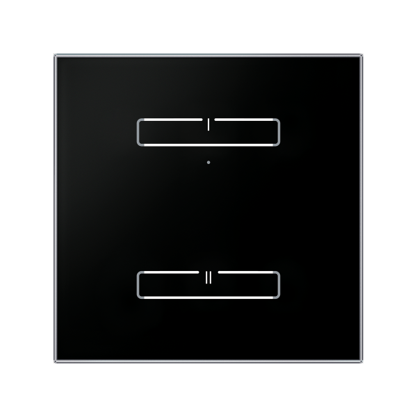Funk-Glaswandschalter RFGB-20/B (schwarz)